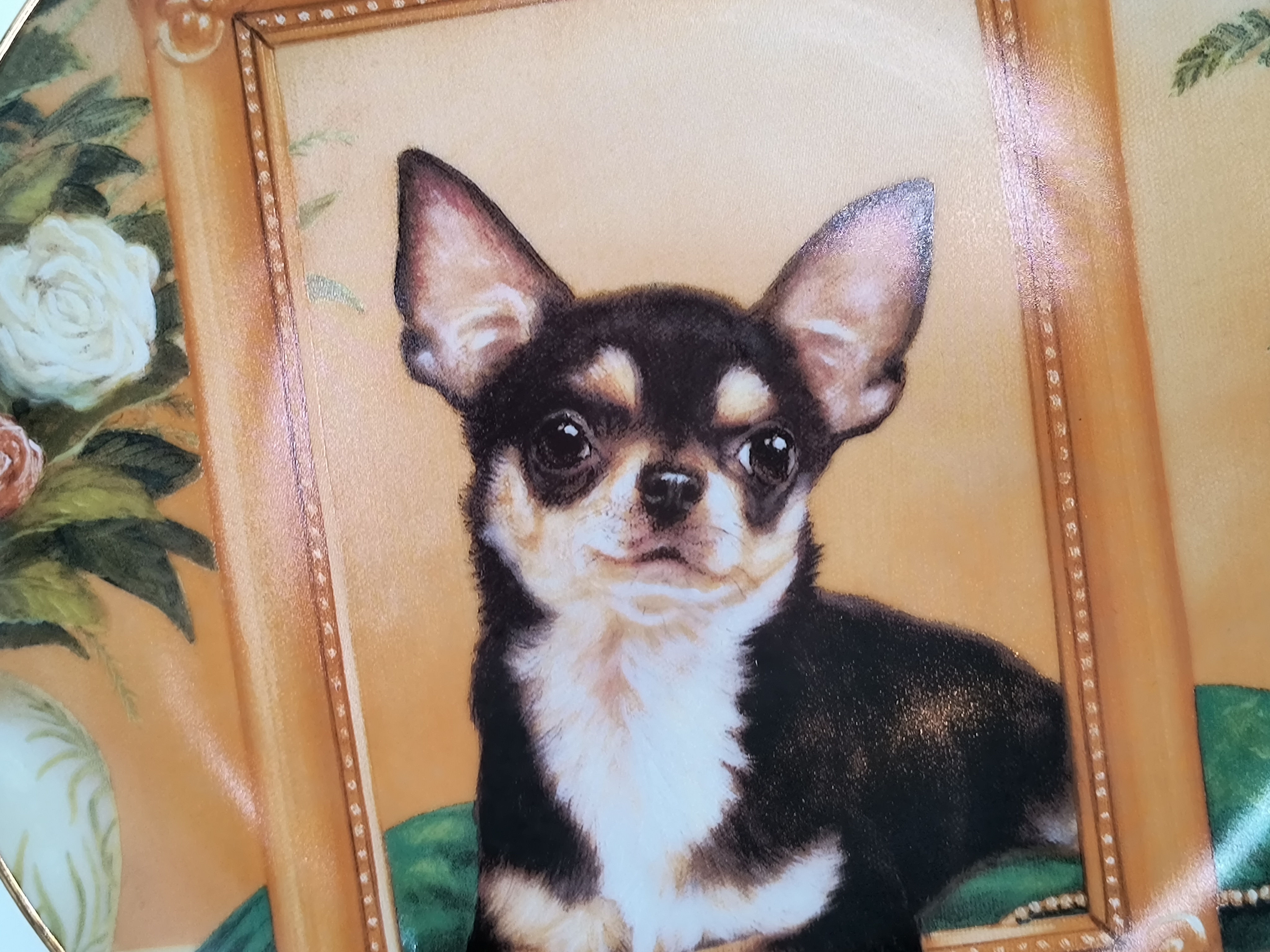 8" Plate - "Pretty as a Picture" -  by John Silver  Chihuahua's collection