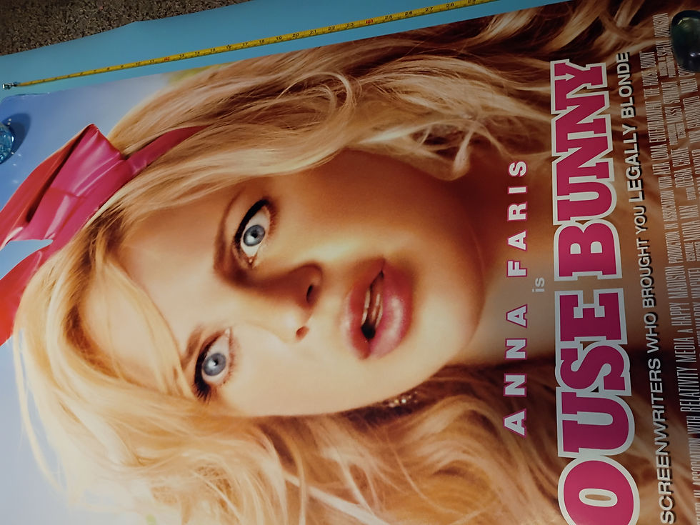 Thumbnail: Approx 27"x 39" Movie poster "The House Bunny" Sony Pictures Entertainment Inc