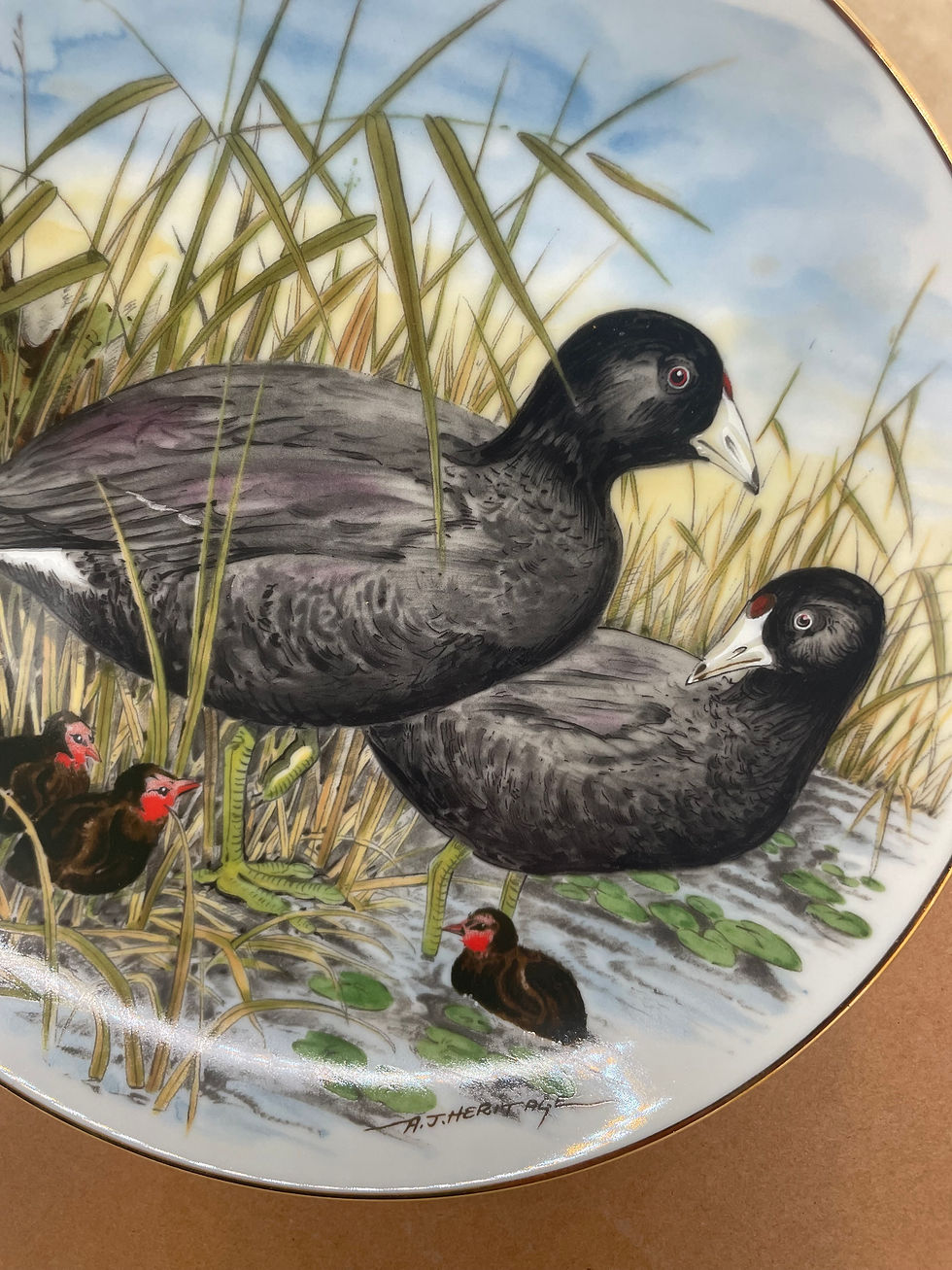 Thumbnail: 8" Plate - "American Coot" -  Game Birds of the South Series