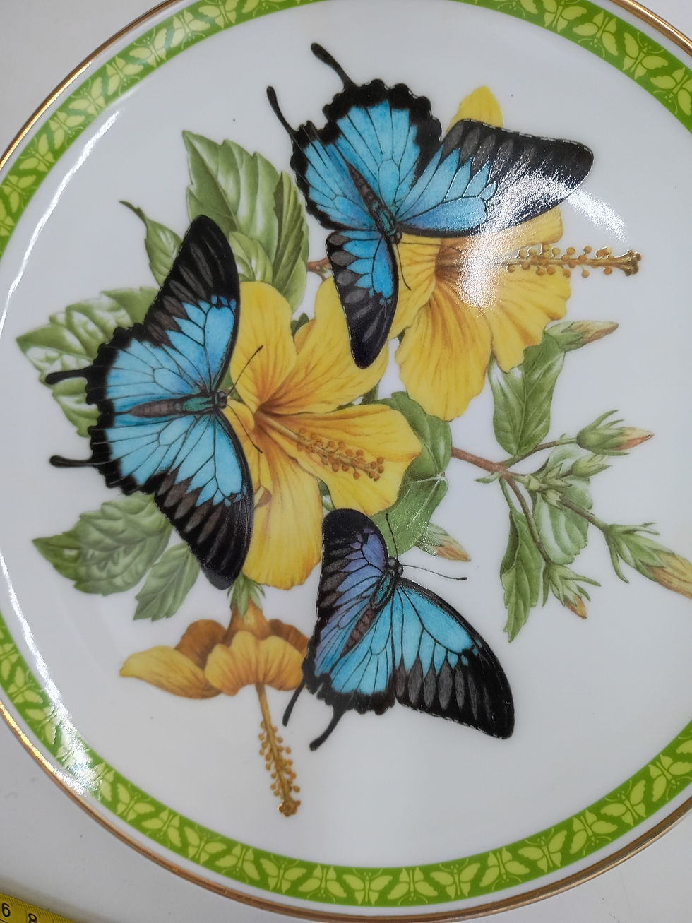 Thumbnail: 8" plate-"BLUE MOUNTAIN" - Butterflies of the World by John Wilkenson- Japan
