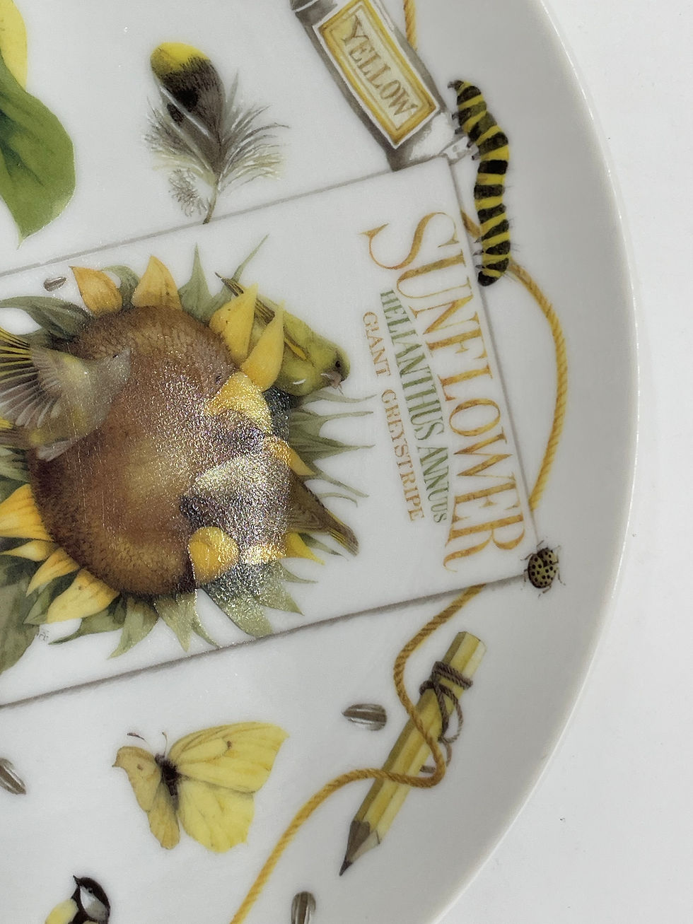 Thumbnail: 9" Plate- "Nature's Yellows" by Marjolein Bastin