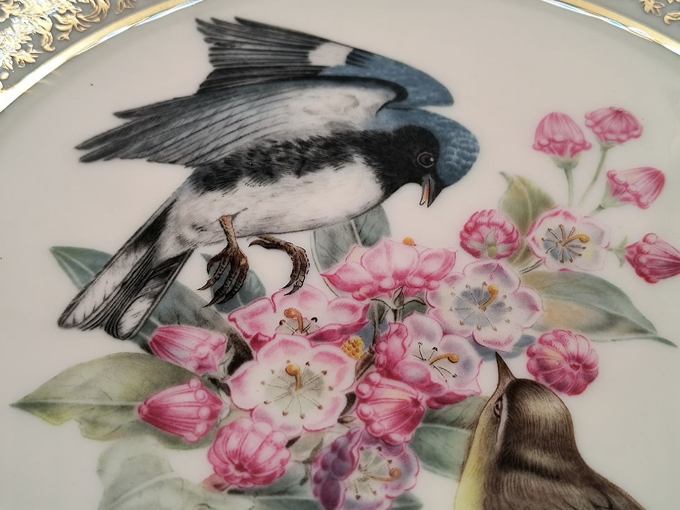 Thumbnail: 11" Plate-Black-Throated Blue Warbler by Edward Marshall Boehm collectible plate