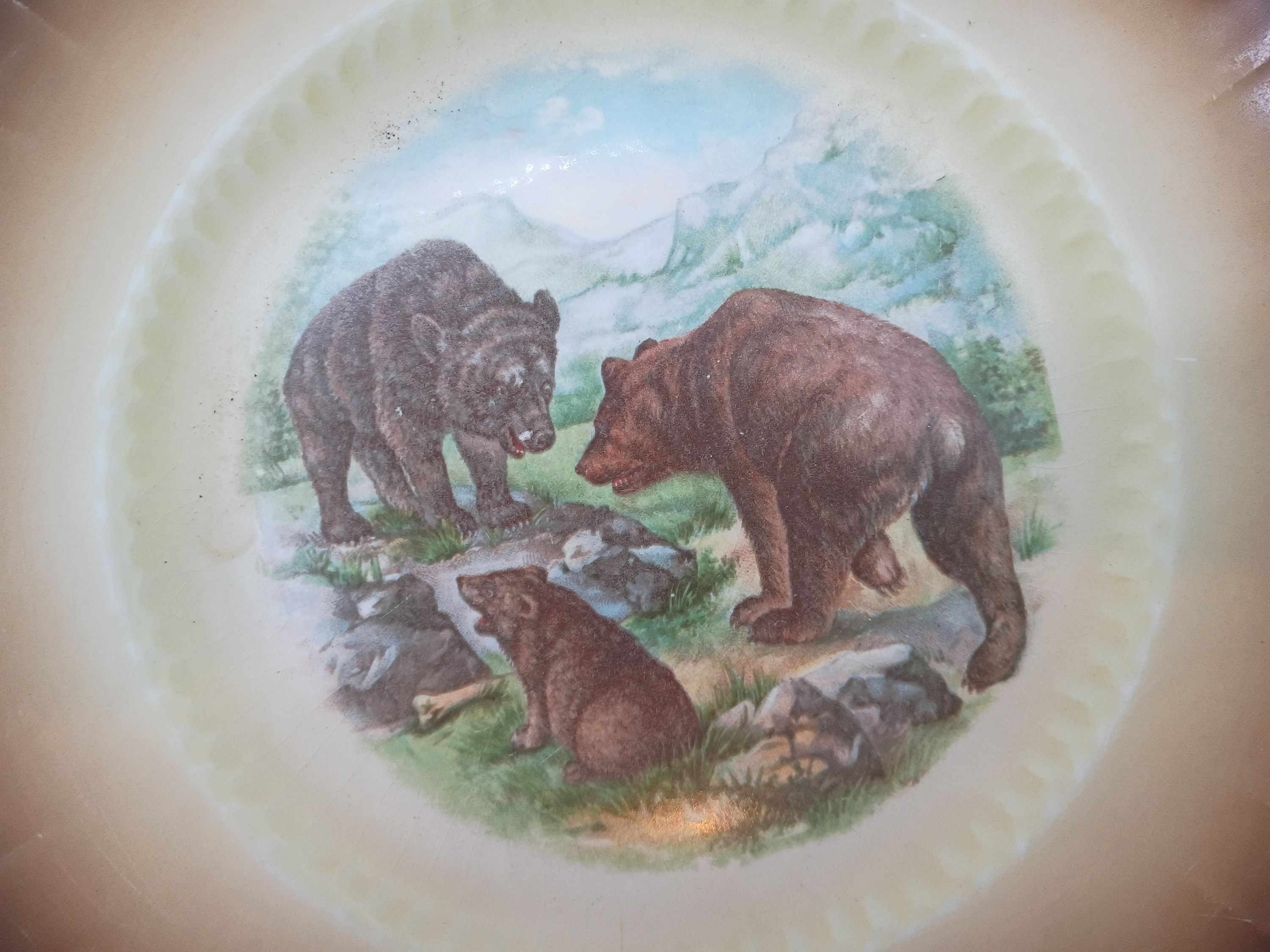 9" Vintage Porcelain plate features black and brown bears - no mark 