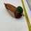 Thumbnail: 12"  - Painted Wood  duck- carved by Lloyd Bruce -1998