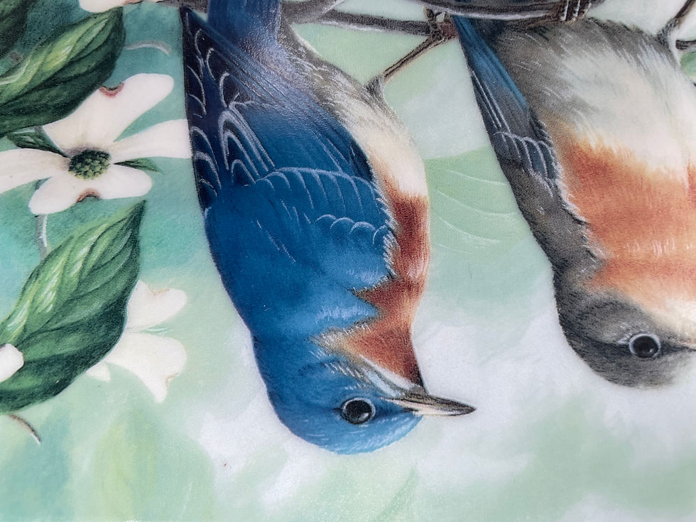 Thumbnail: 8" Plate - "Morning Glory" 2nd issue in A Treasury of Songbird series 