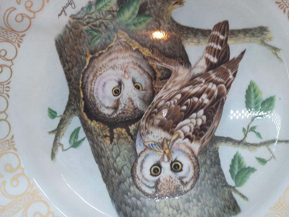 Thumbnail: 11" Plate-  "Boreal Owl" collectible plate in Boehm Owl Plate Collection