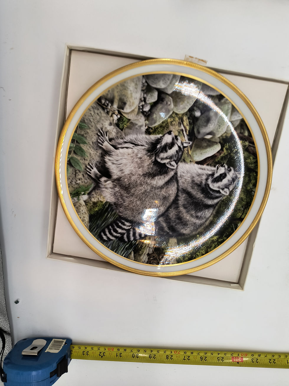 Thumbnail: 4th issue-Raccoons by a North Carolina stream