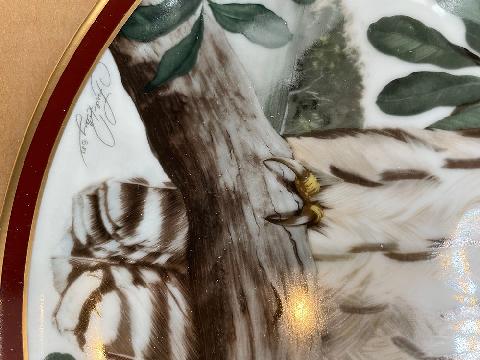 Thumbnail: 8" Plate - "Barred Owl" - 5th in Majestic Birds of Prey collection -C Ford Riley