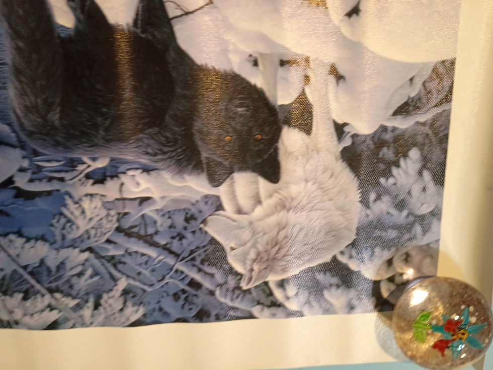 Thumbnail: Approx. 16"x 19" Print on Canvas - Black and White Wolves, waiting for a frame