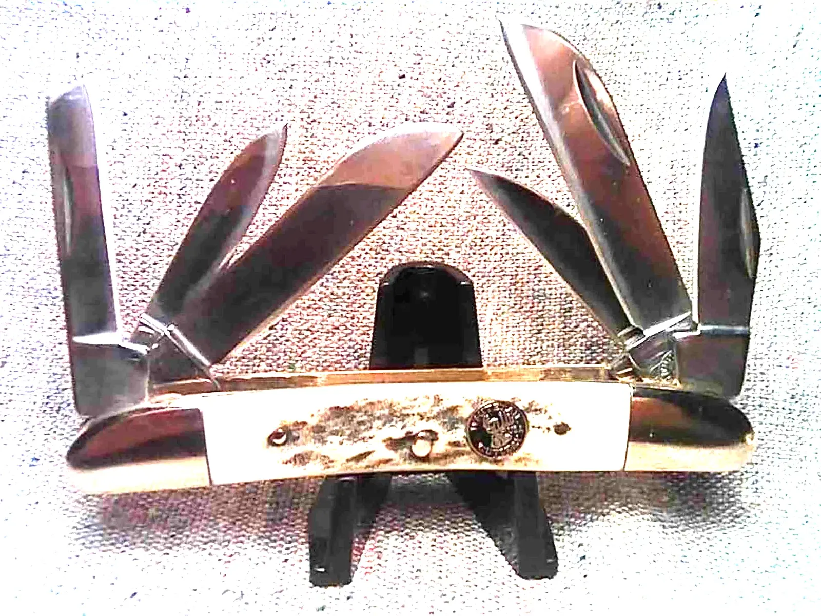 7" Open - Pocket Knife- 6 blade with stag handles - 440 Stainless steel blades