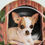 Thumbnail: 8" Plate - "In the Doghouse" -  by John Silver  Chihuahua's collection