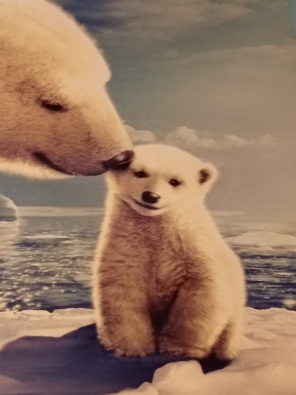 Thumbnail: Approx 27" x 39" Movie poster "Artic Tale" Paramount Productions