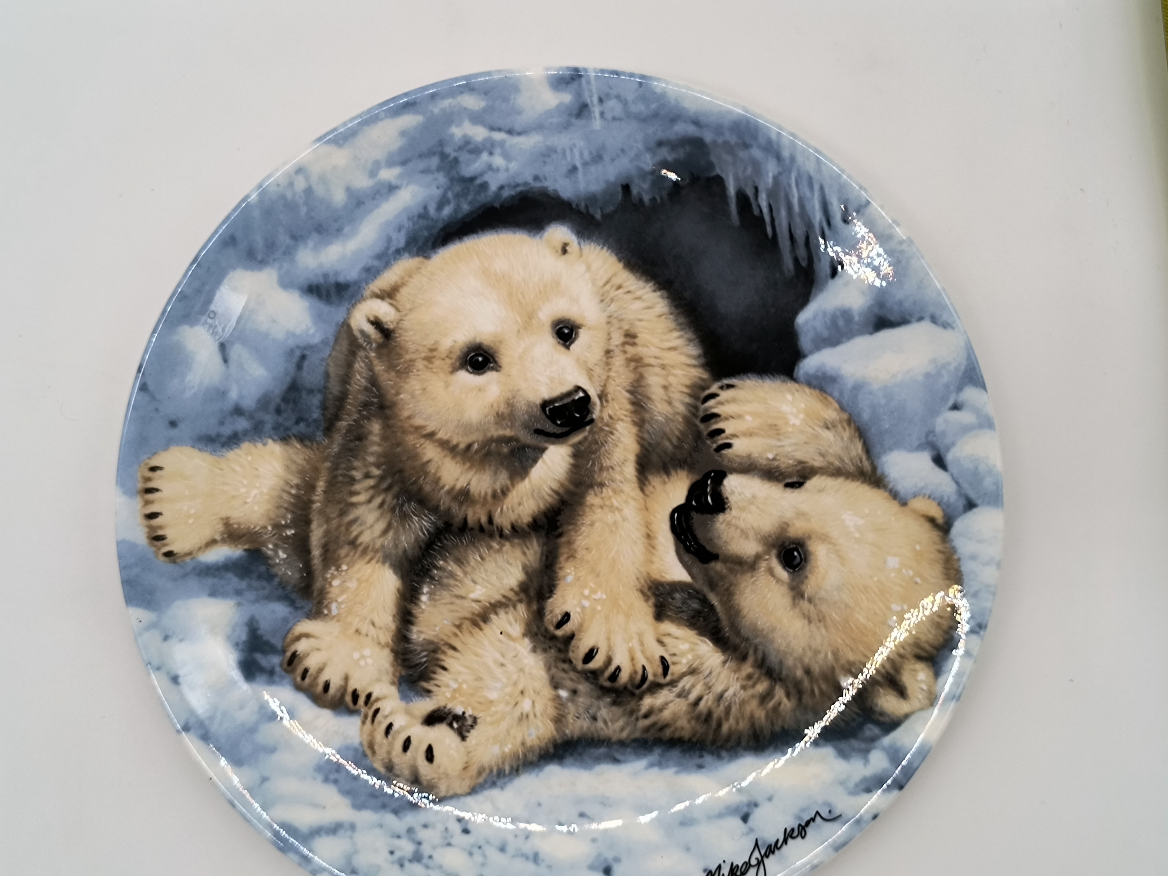 8" Plate- Royal Grafton"Polar Bear Cubs" The Beauty of Polar Wildlife Collection