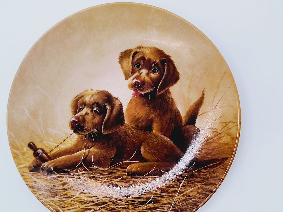 Thumbnail: 8"plate "Chesapeake Bay Retrievers" by Lynn Kaatz - 7th issue Field Trips plate 