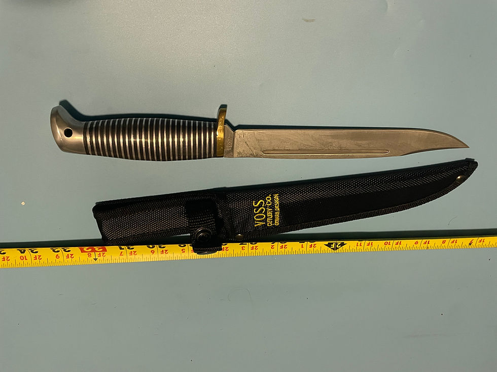 Thumbnail: 12"  Bowie -HQ stainless steel blade-brass guard-steel pommel 1680D nylon sheath