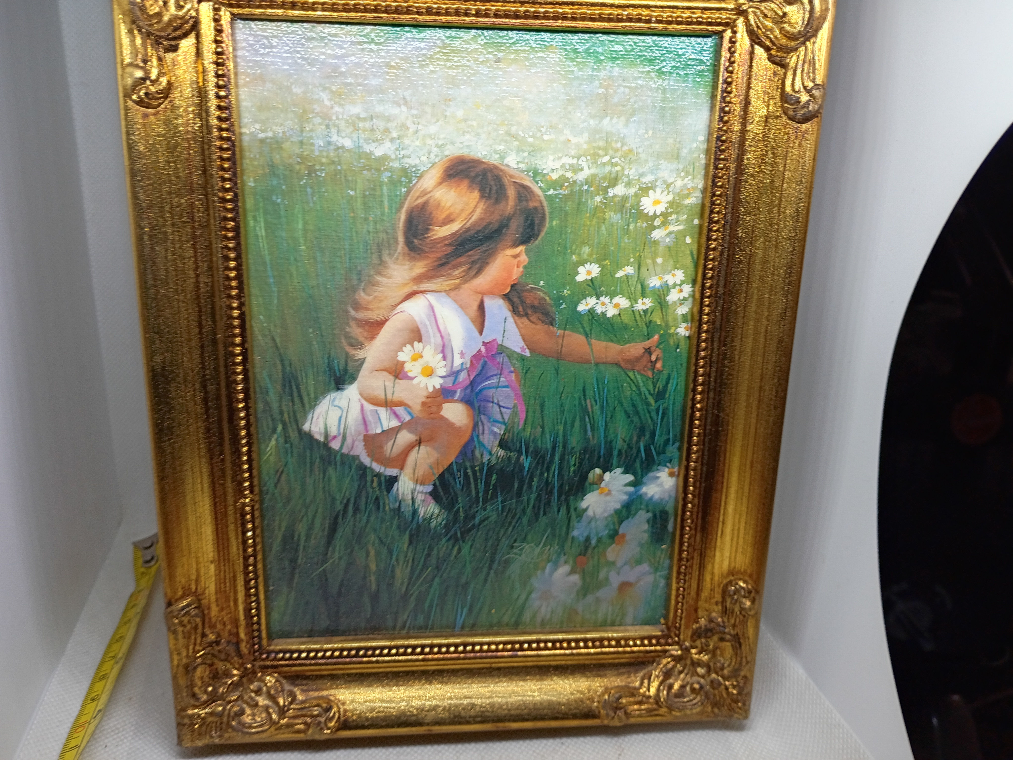 6" "Daisy Days" First canvas transfer by Donald Zolan Pemberton & Oakes 1992