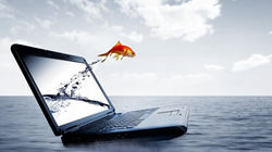 fish_jump_from_laptop-852x480.jpg