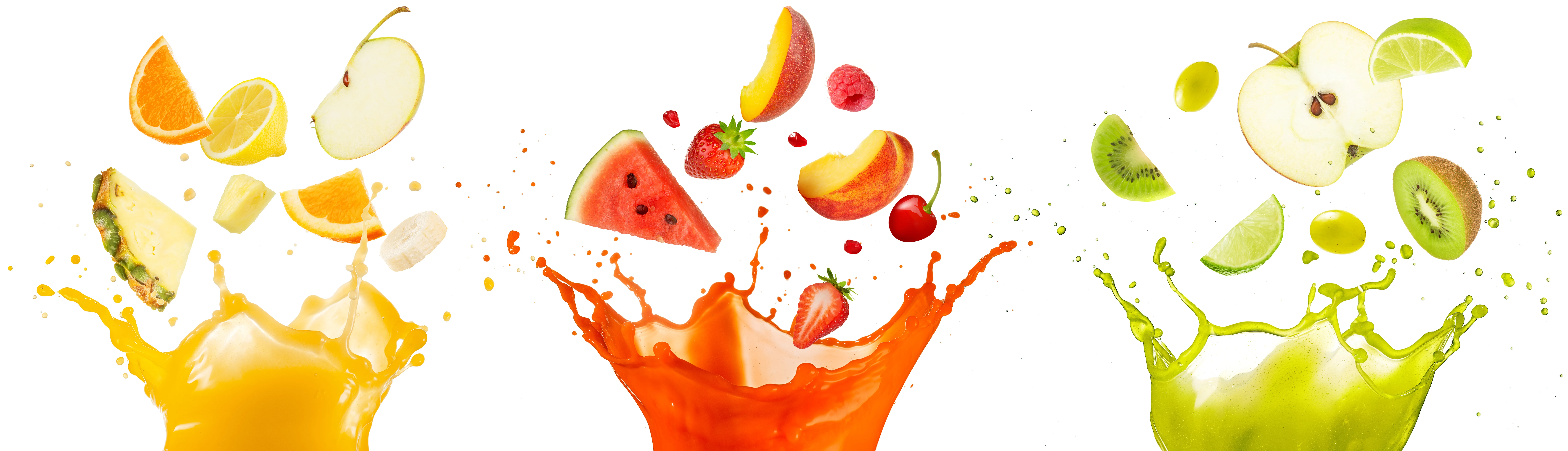 AdobeStock_197062948.webp
