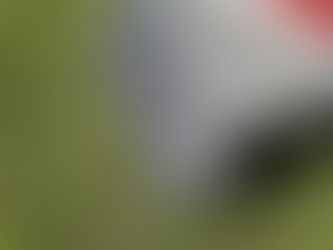 Portable Folding Solar Panels – Getting Off The Ground