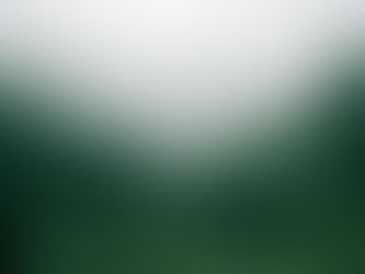 Outdoor Safety Essentials Guide