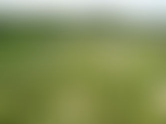 La arrogancia de invocar a Borges...