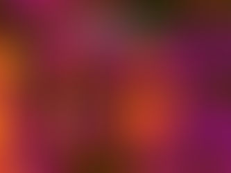 Musica regional: Ether Population, de Facundo Lezcano > 6/6