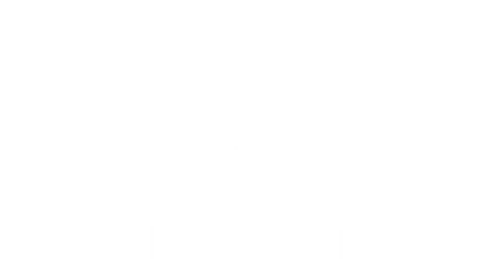 Nidum-B cópia 5_2x.png
