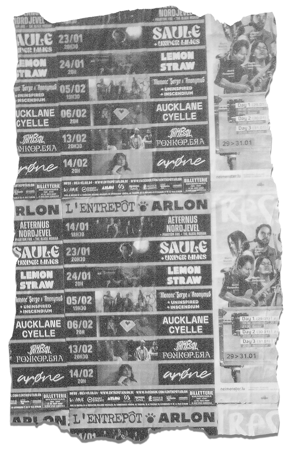 folha