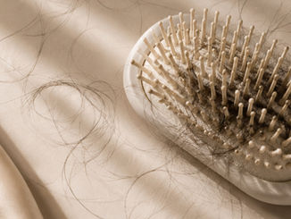 The Science Behind Roots² Hair Shedding Support - And how it helps with hair shedding