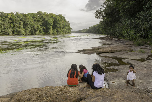 Scenic river in Guyana