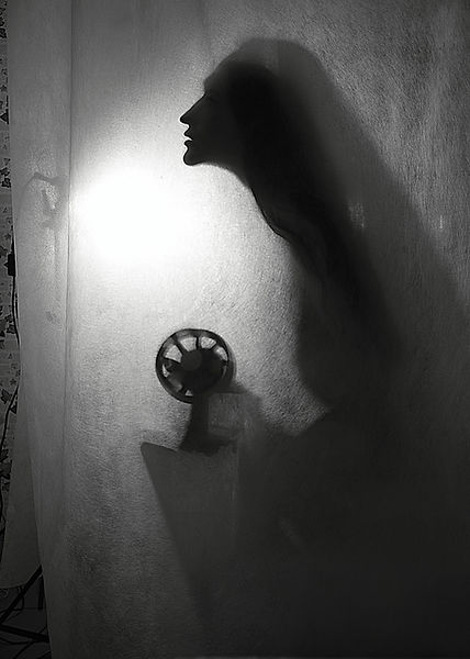 Self-portrait through a curtain, profile shadow