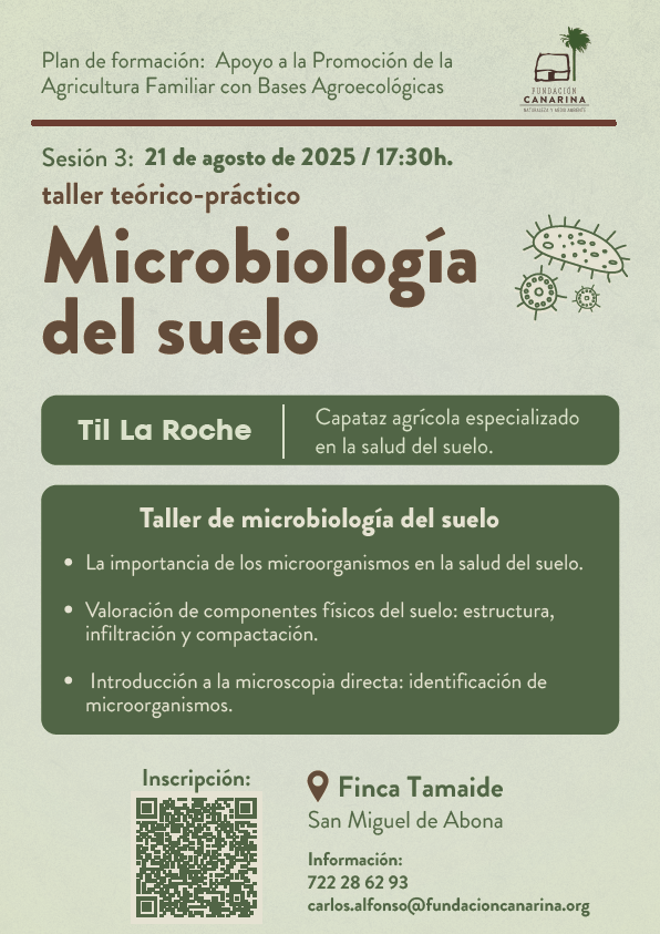 Taller micro Canarina