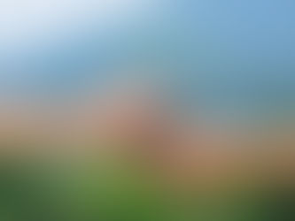 Fobia al asociacionismo pese a ser el modelo que aporta músculo al productor