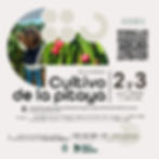 5064_cartel_