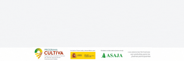 2025 banner newsletter (600 x 200 px) (1).gif