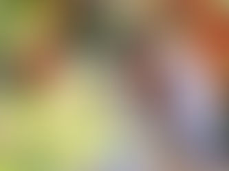 七五三出張撮影@東伏見稲荷神社