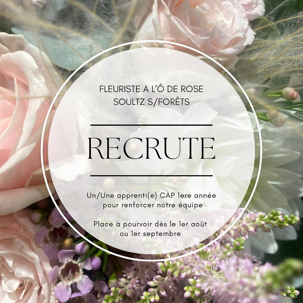 A l'O de Rose fleuriste Soults-sous-Forêts recrute