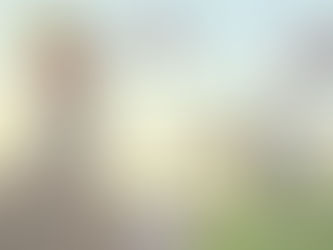 Pourquoi les "Médiocres" prennent le pouvoir ?