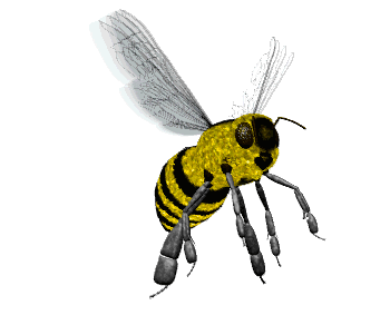 bee-animated-gif-11.gif