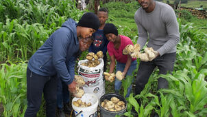 Short Days, Strong Hands: Farming an Eastern Cape Winter