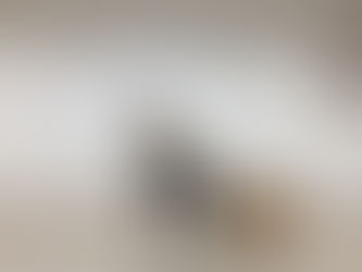 BGS Jumps (Bulgarian Split Squat Jumps)