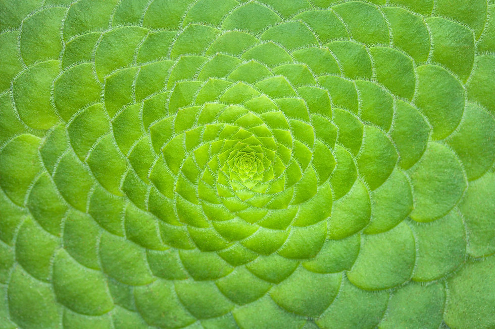 AdobeStock_214882617.jpeg
