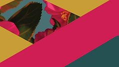 doandbe_website_pattern4.png