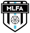 mlsa uk web logo.png