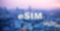 esim03.jpg