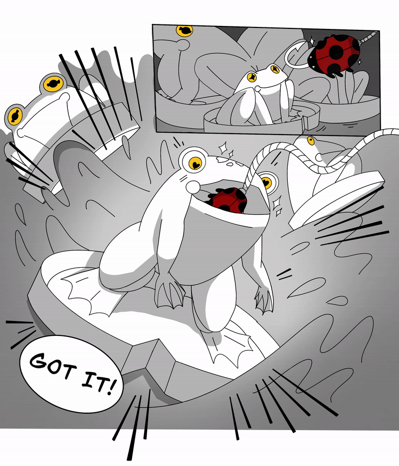 11.gif