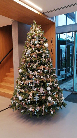 Kerstboom verhuur in thema arctic adventure. Kerstboom 240 cm hoog Kerstboom huren