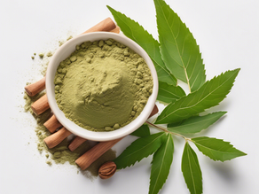 Ayurvedic PCD Pharma Franchise in 2025