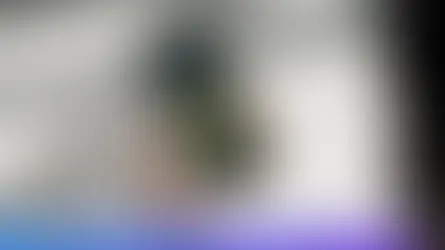 Sonar: A Nova IA da Perplexity que Revoluciona a Busca por Informações