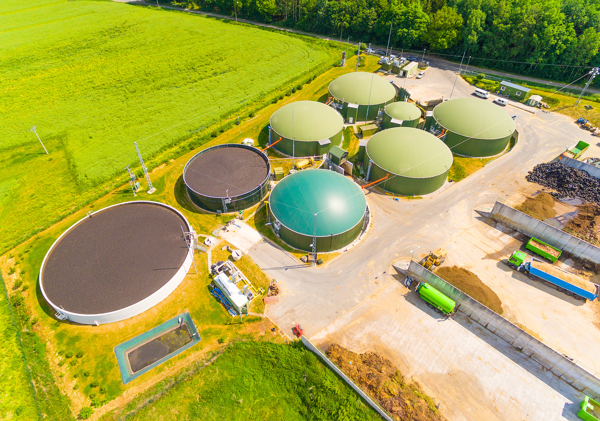 Biomass Power Plant.jpeg